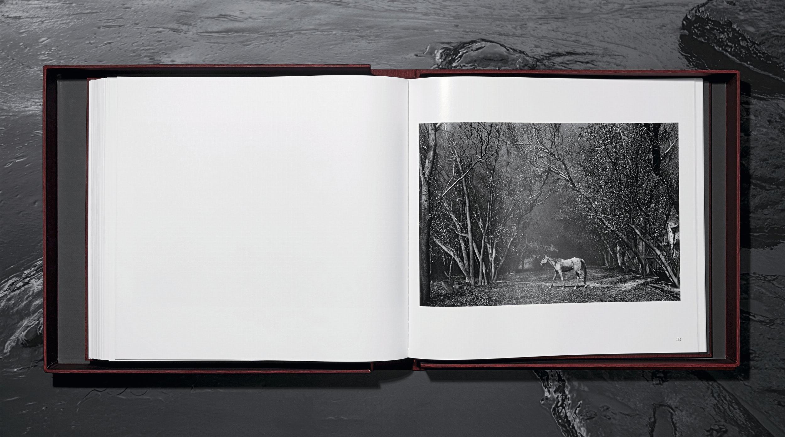 Sebastião Salgado. Kuwait. A Desert on Fire - Image 15 de 17