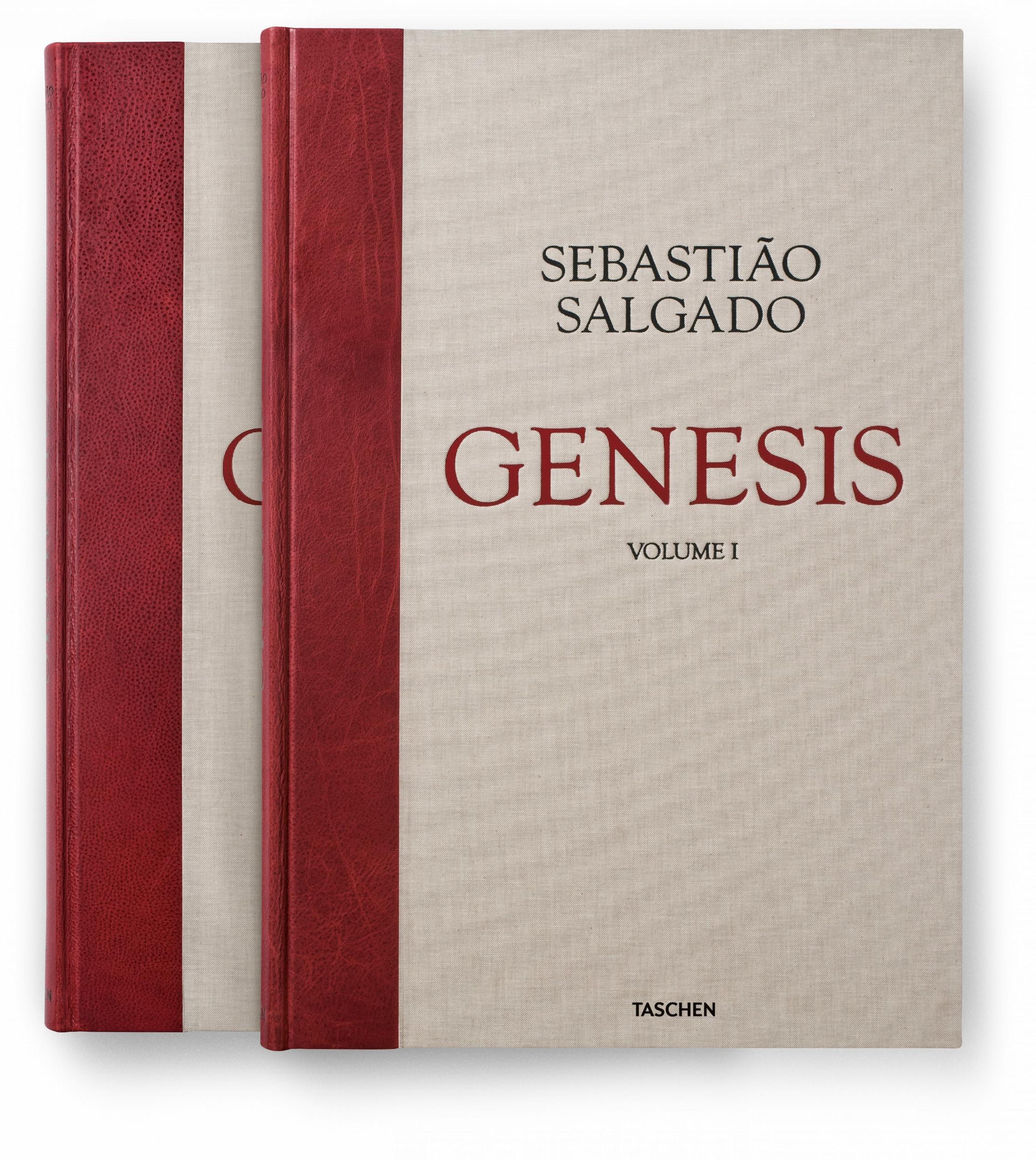 Sebastião Salgado. Genesis - Immagine 4 di 13