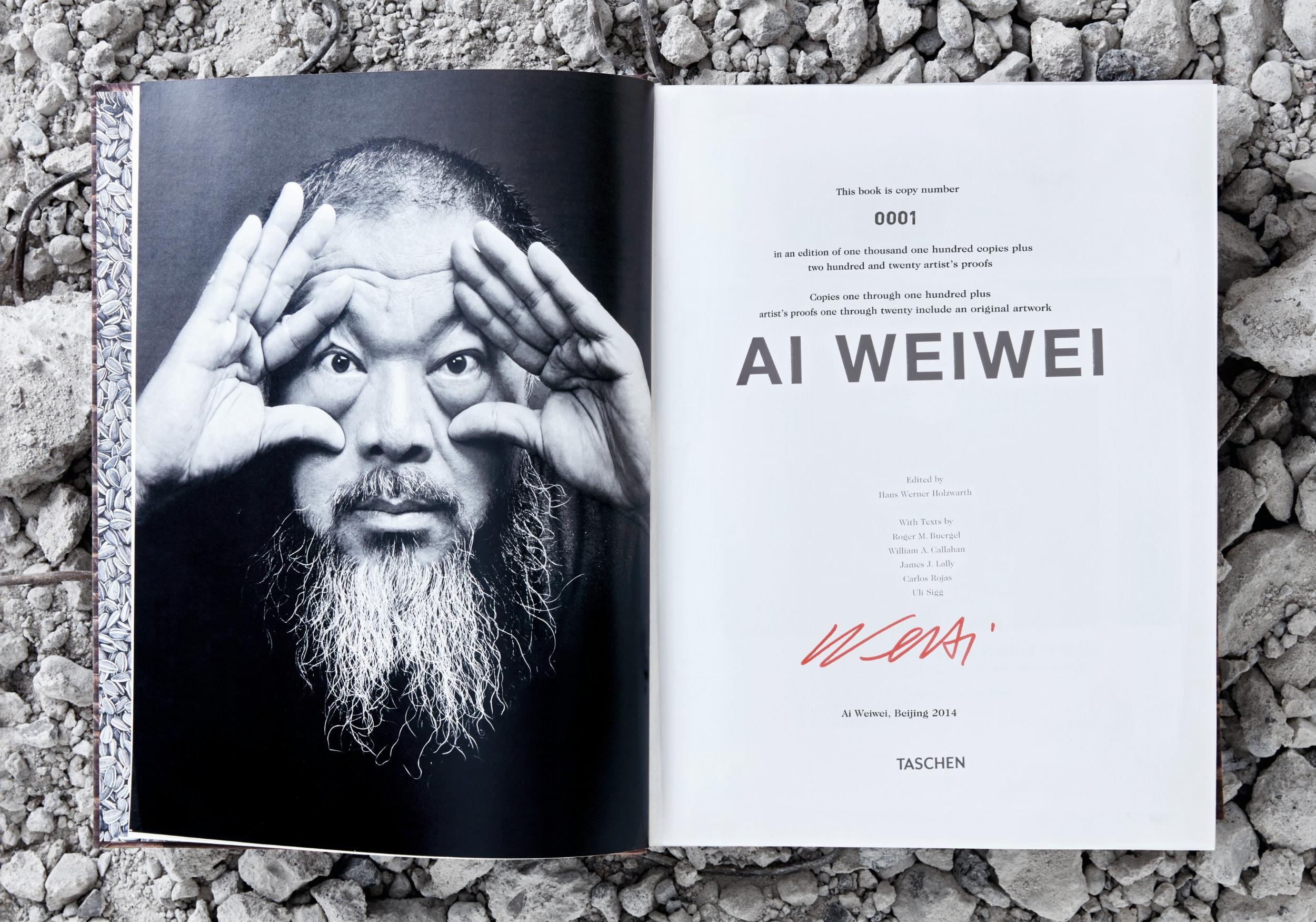 Ai Weiwei - Image 6 of 12