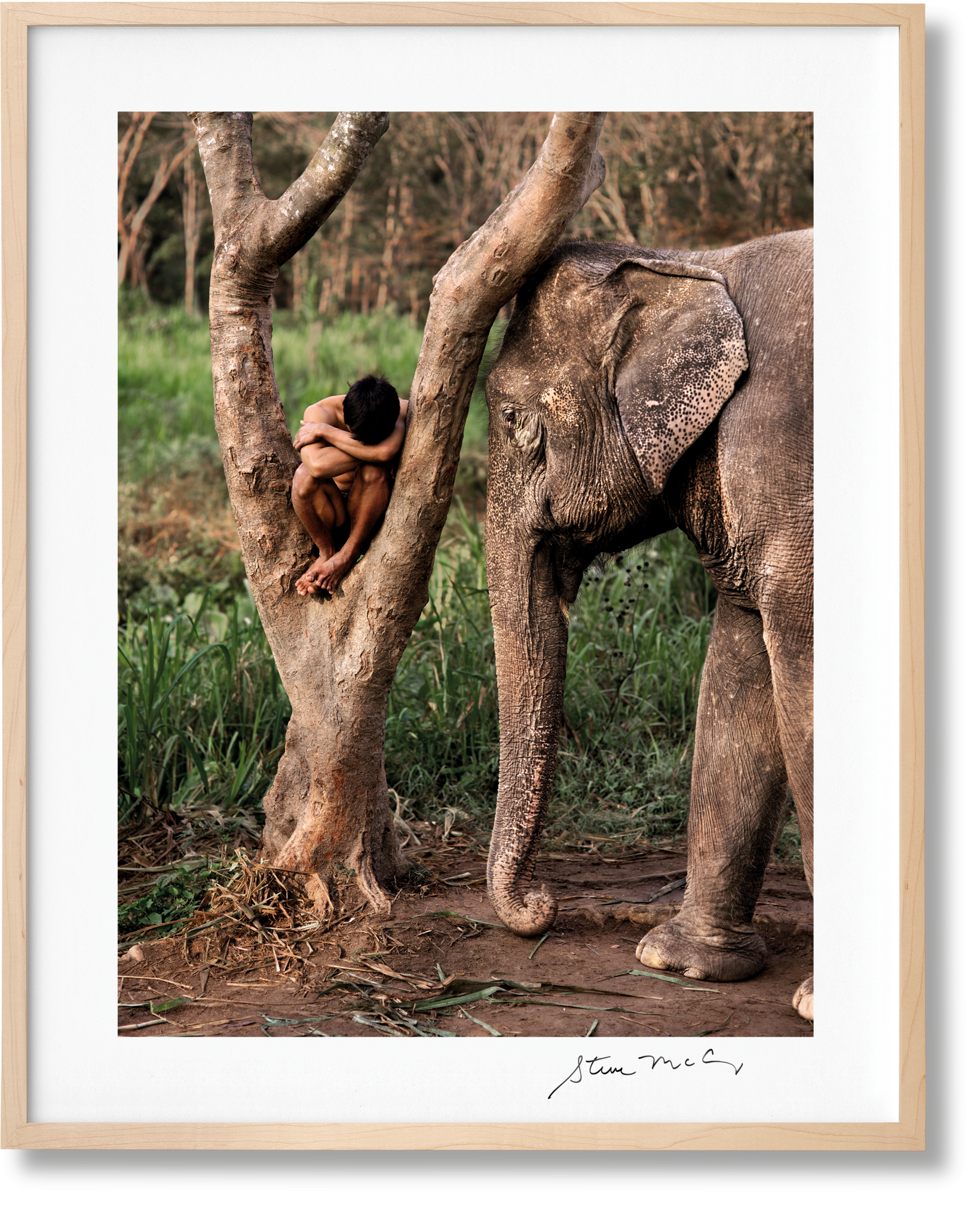 Steve McCurry. Animals. Art Edition No. 1–100 ‘Chiang Mai, Thailand, 2010’