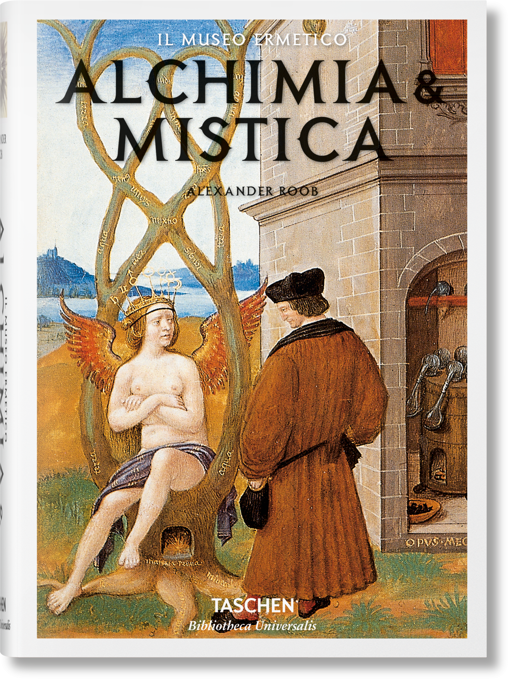 TASCHEN Books: Alchemy & Mysticism