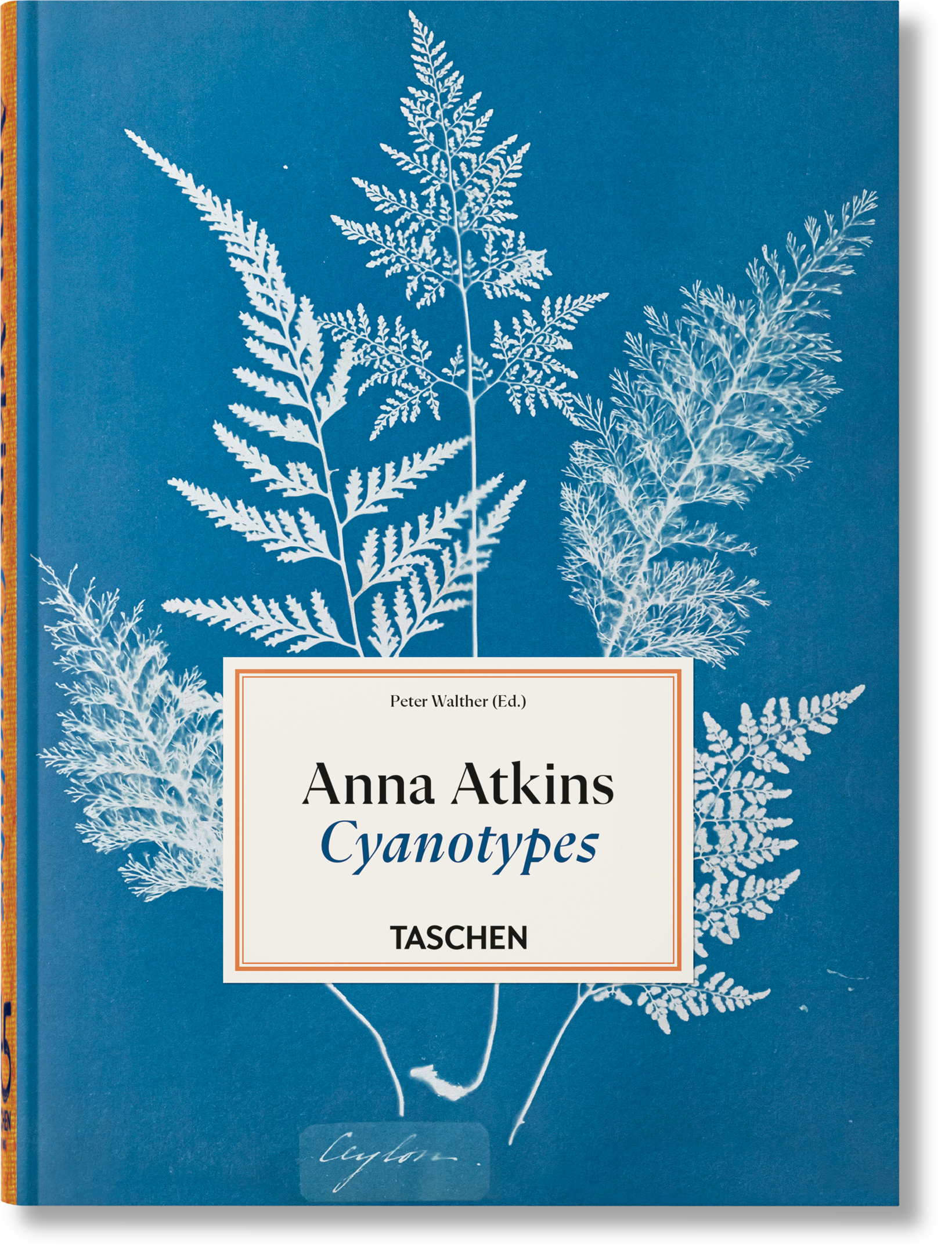 Books. Classics TASCHEN