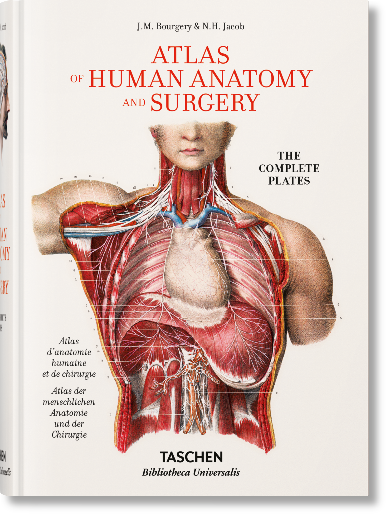 健康・医学 ATLAS OF HUMAN ANATOMY AND SURGERY 9515264696583ab57fa9b4b6ed173f