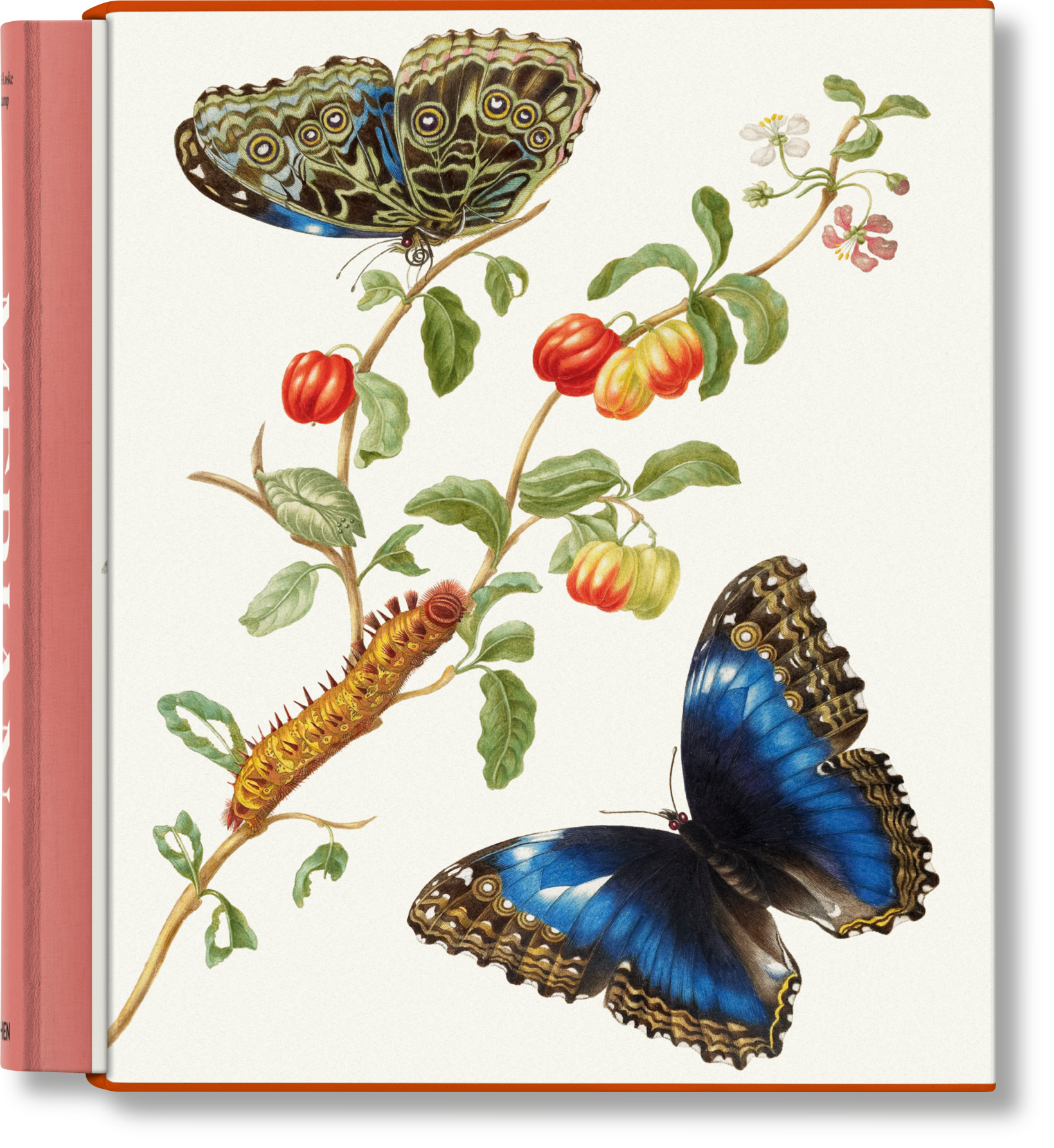 Books. New & Upcoming TASCHEN